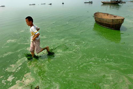 Algae menace China's fabric industry