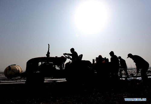 Spring farming season starts in Shandong