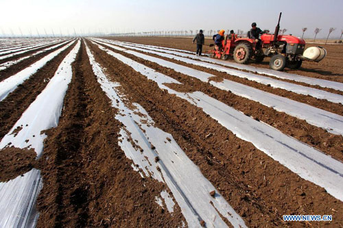 Spring farming season starts in Shandong