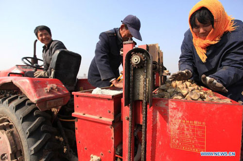 Spring farming season starts in Shandong