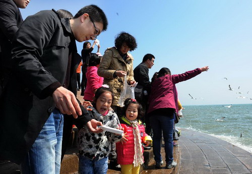 Tourists feed seagulls during Qingming Festival
