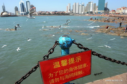 Qingdao makes effort to prevent H7N9 infections