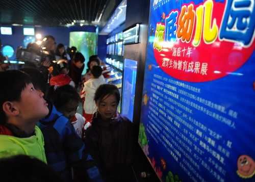 Qingdao exhibits artificially-bred marine life