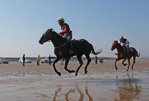 2nd Xinghai Cup Celebrity Horse Race opens in Qingdao