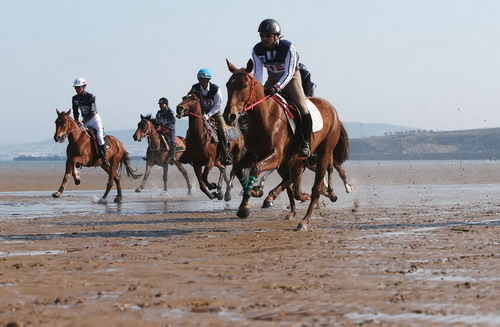 2nd Xinghai Cup Celebrity Horse Race opens in Qingdao