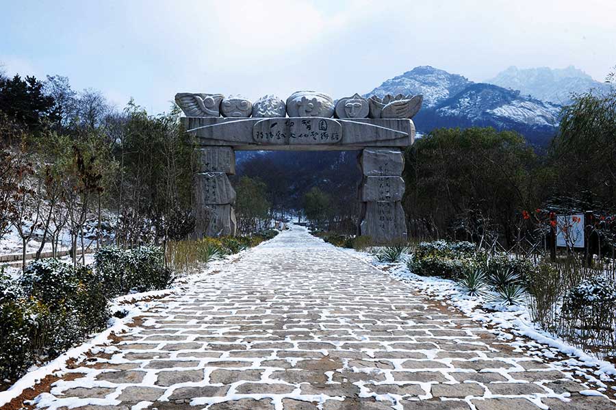 Winter beauty in Zhushan National Park, Qingdao