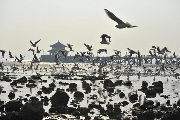 Astronomical tide brings spectacular view to Qingdao