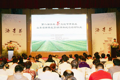 Green tea industry blooms in Qingdao