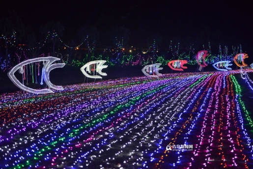 Light festival shines in Qingdao