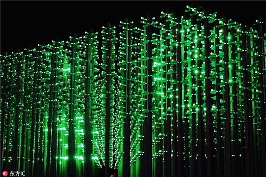 'Beer forest' lights up Qingdao