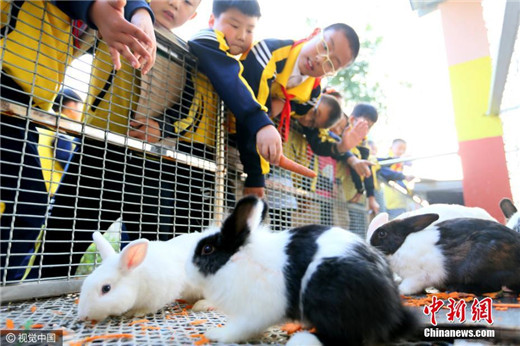 Qingdao school sets up zoo on campus