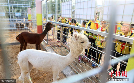 Qingdao school sets up zoo on campus