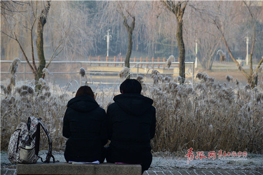 Rime creates a wonderful winter scene in Qingdao