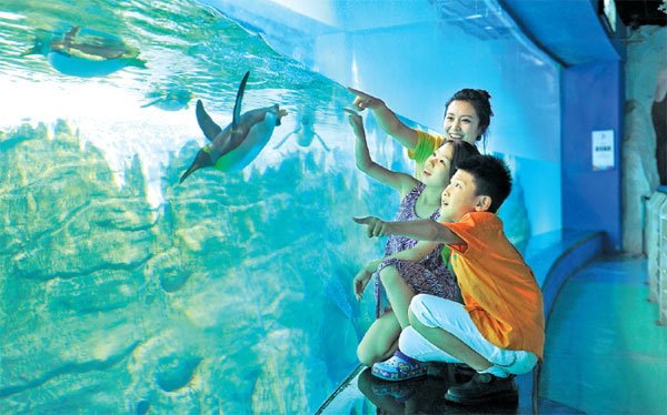 Haichang gives free entry to autistic kids