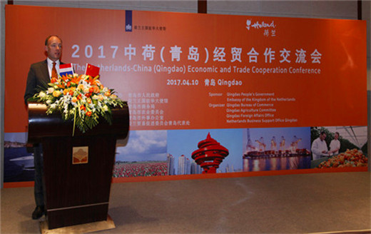 Qingdao, Netherlands strengthen ties, seek further cooperation