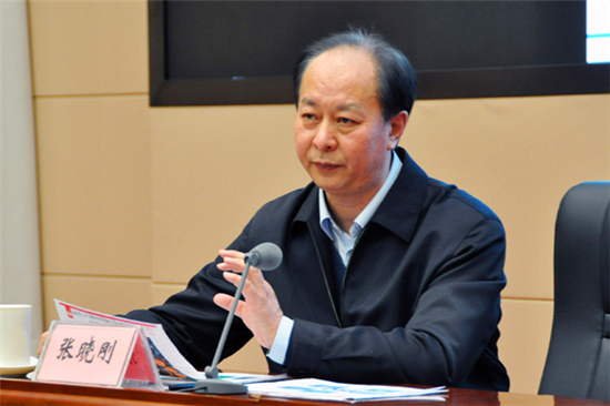 Zhang Xiaogang, president of ISO