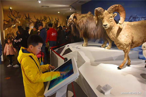 People enjoy exhibits at Behring Natural History Museum in Qingdao