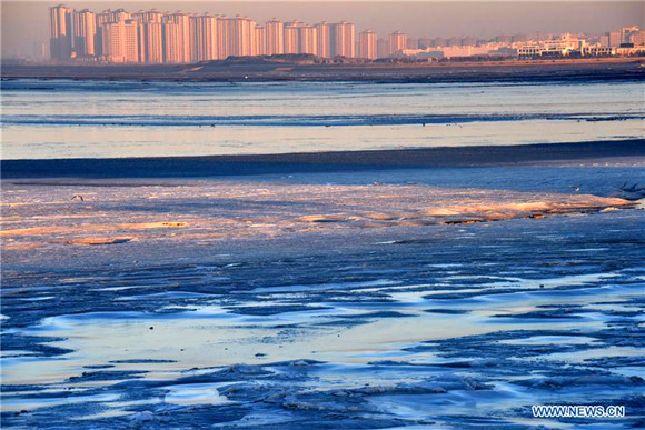 Part areas along seaside of Qingdao covered by ice in E China