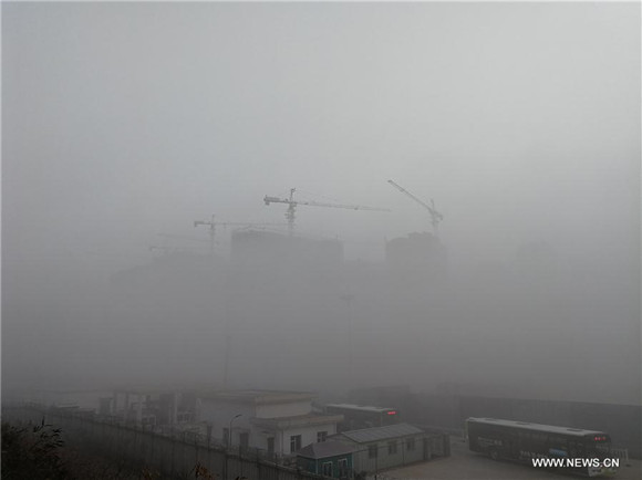 E China's Shandong issues yellow alert for fog