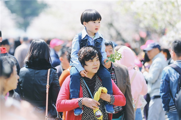 2018 Qingdao Flower Admiring Festival beckons